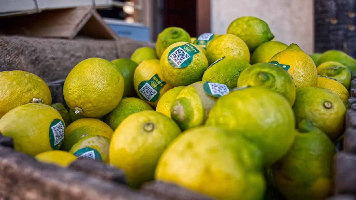 450 Limoni e un'idea fuori dagli schemi