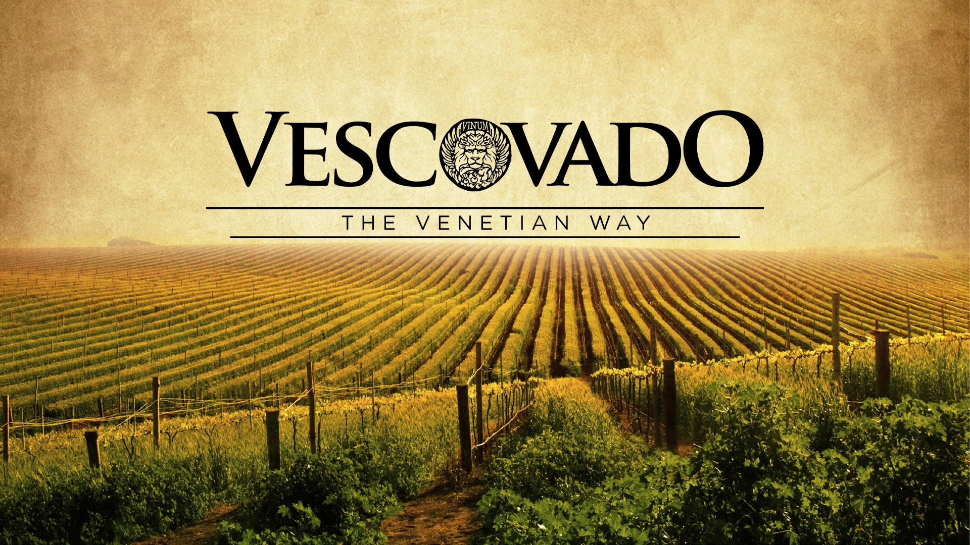 Caso studio Vescovado Wine - corporate identity per una cantina in Bulgaria